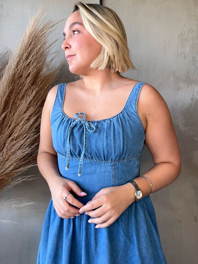 Shea Denim Dress