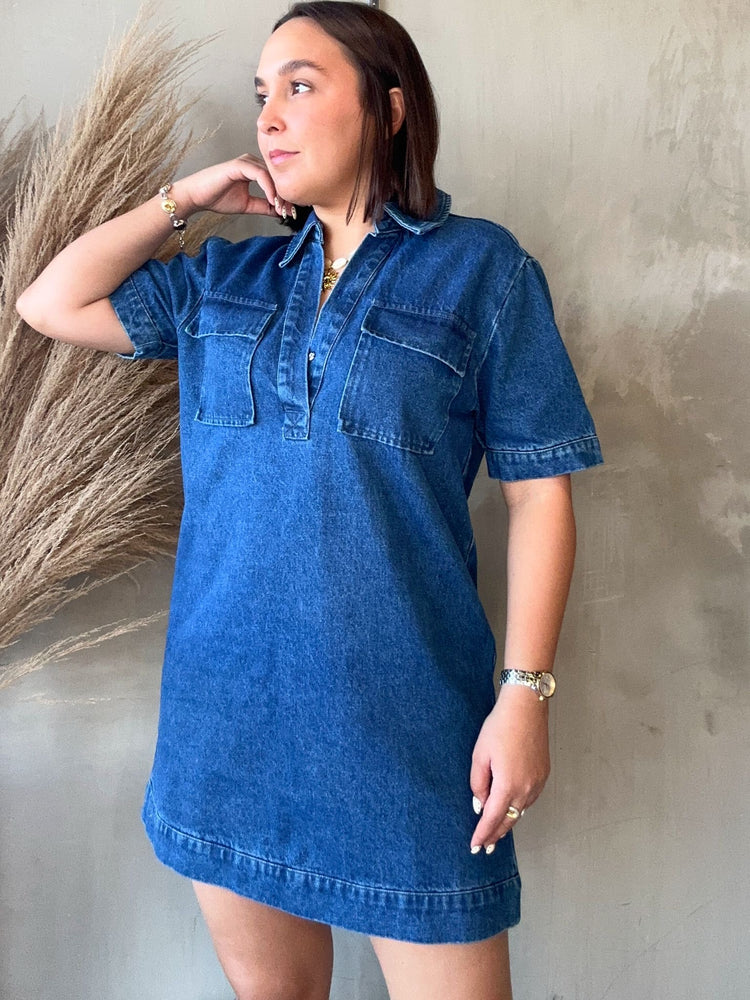 Liliana Denim Dress