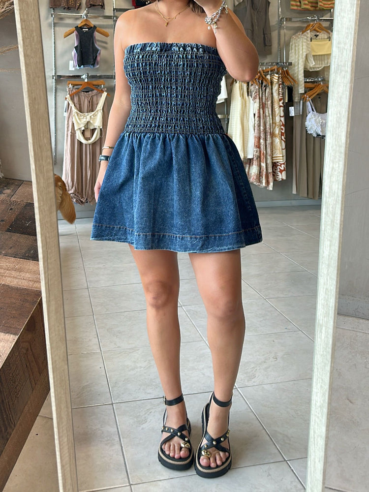 Misha Denim Dress