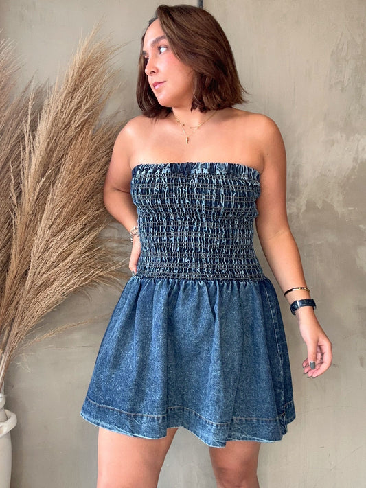 Misha Denim Dress