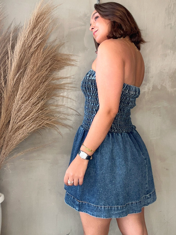 Misha Denim Dress